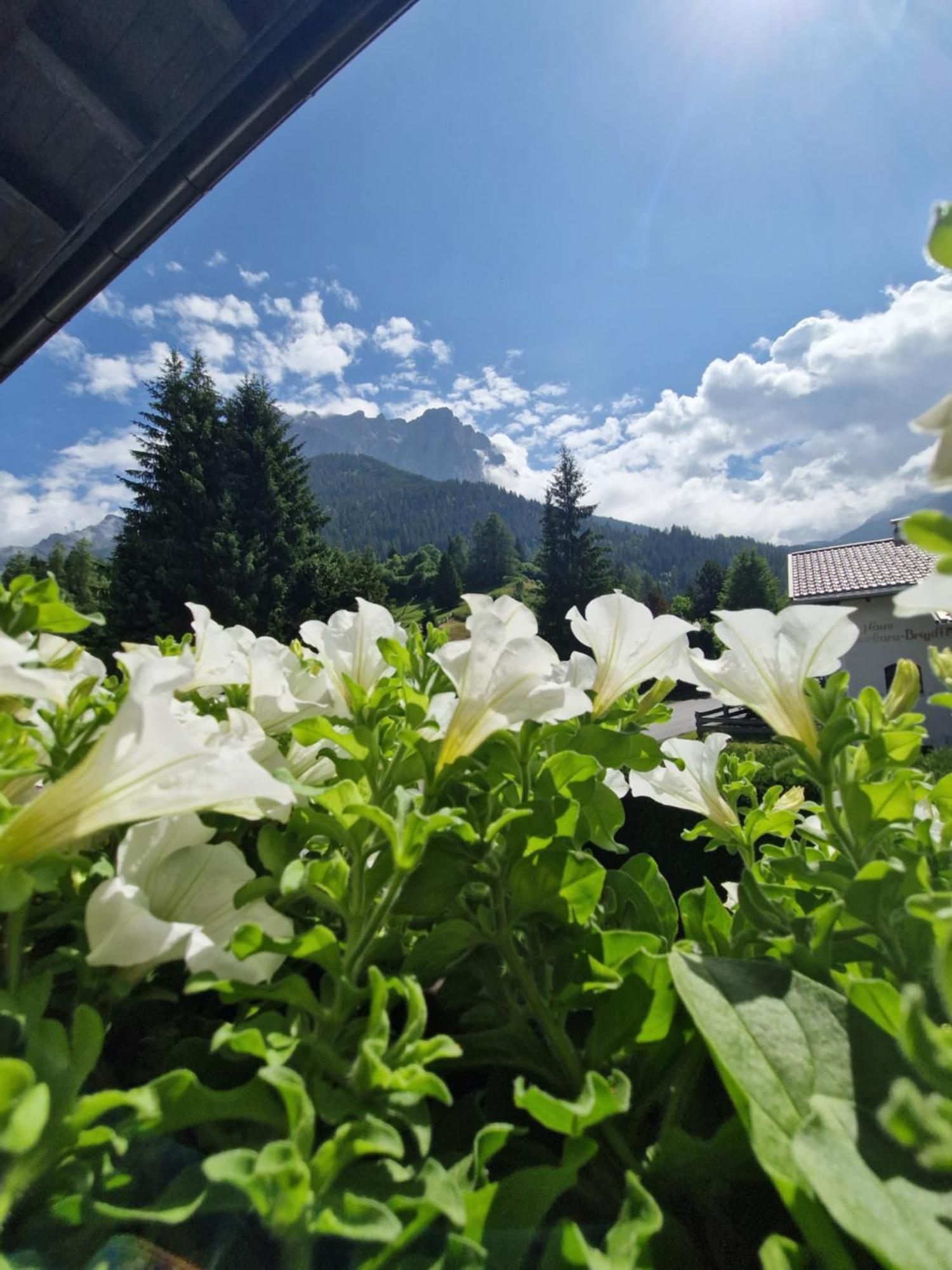 Gaestehaus Schoeneweiss Ehrwald Dış mekan fotoğraf