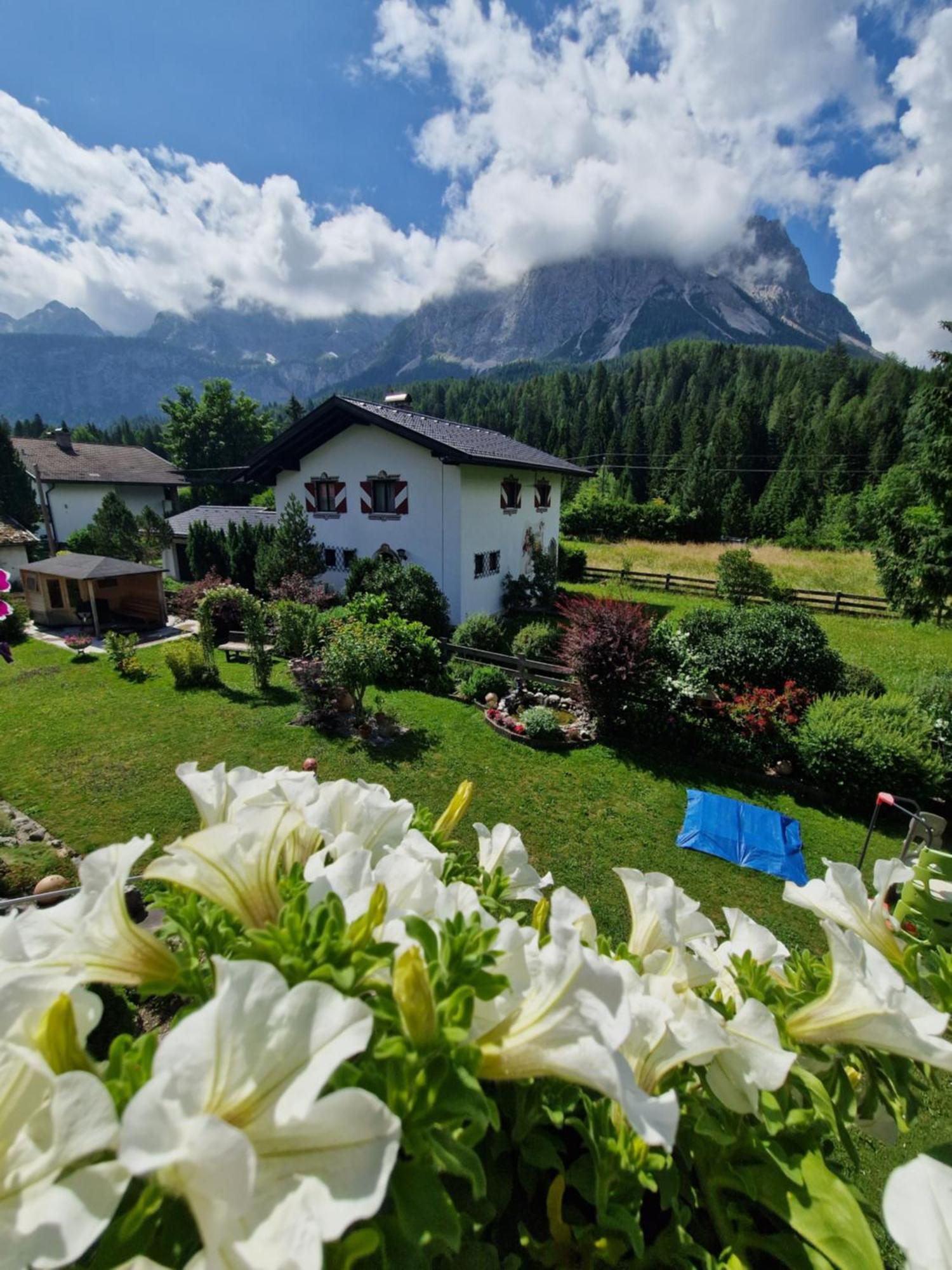 Gaestehaus Schoeneweiss Ehrwald Dış mekan fotoğraf